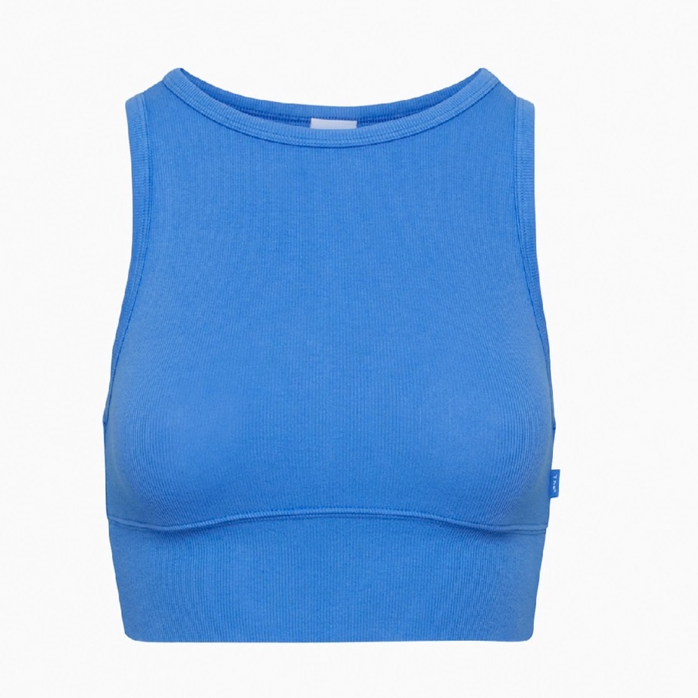 Blue Aritzia Tank